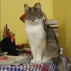 Отзыв от Софья Гладкова